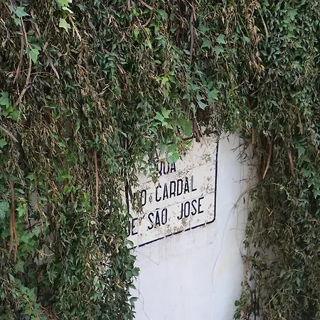 Διαμέρισμα Avenida Da Liberdade Area, Bright And Newly Renovated 2 Bedroom Apartment, Historical Center Lisboa